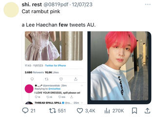 Cat Rambut Pink — Haechan